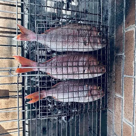 Meleti - Panoramic View Of Kassos Island *